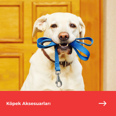 Köpek Aksesuarları