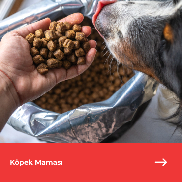 Köpek Mamaları